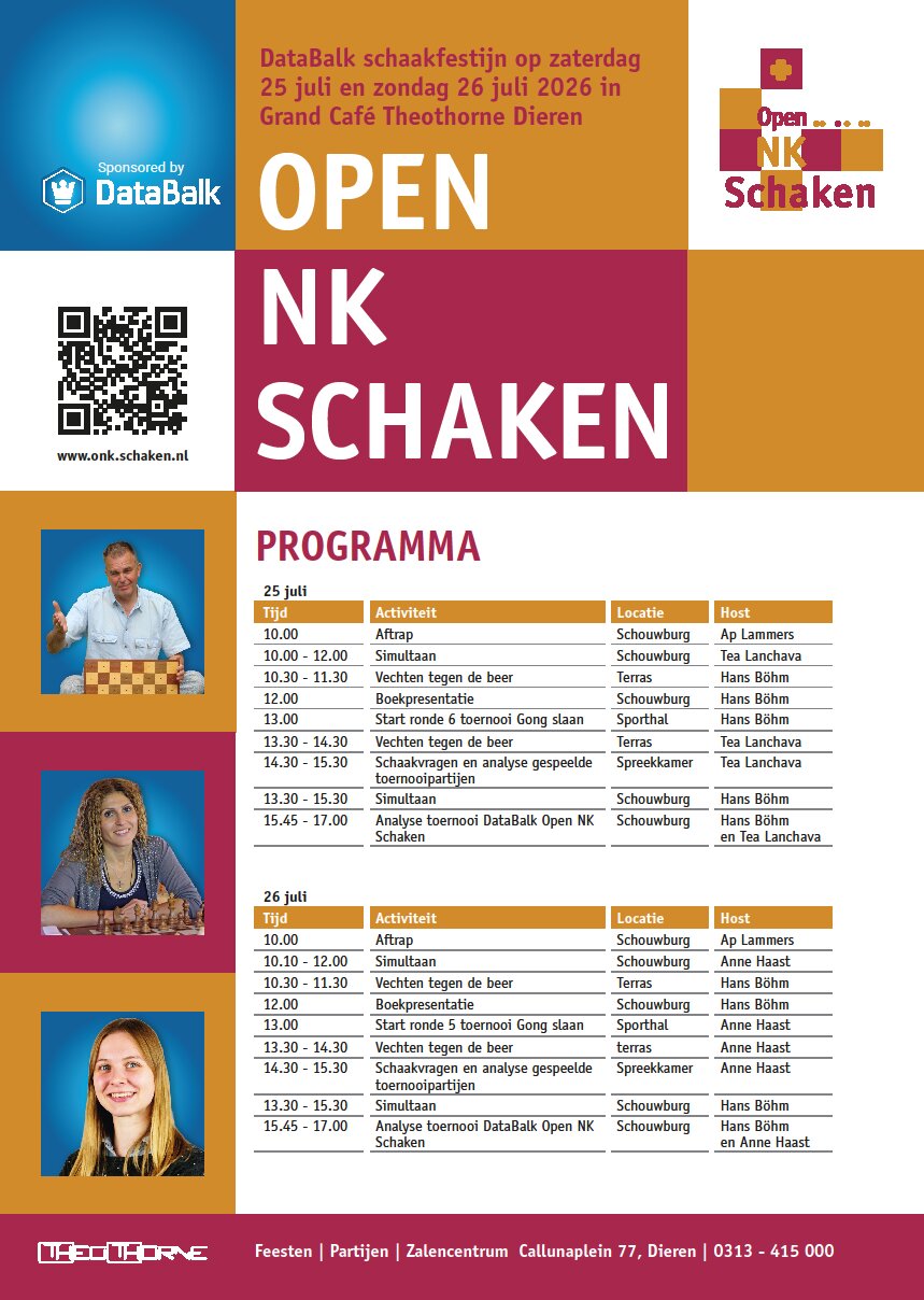 programma Databalk Schaakfestijn